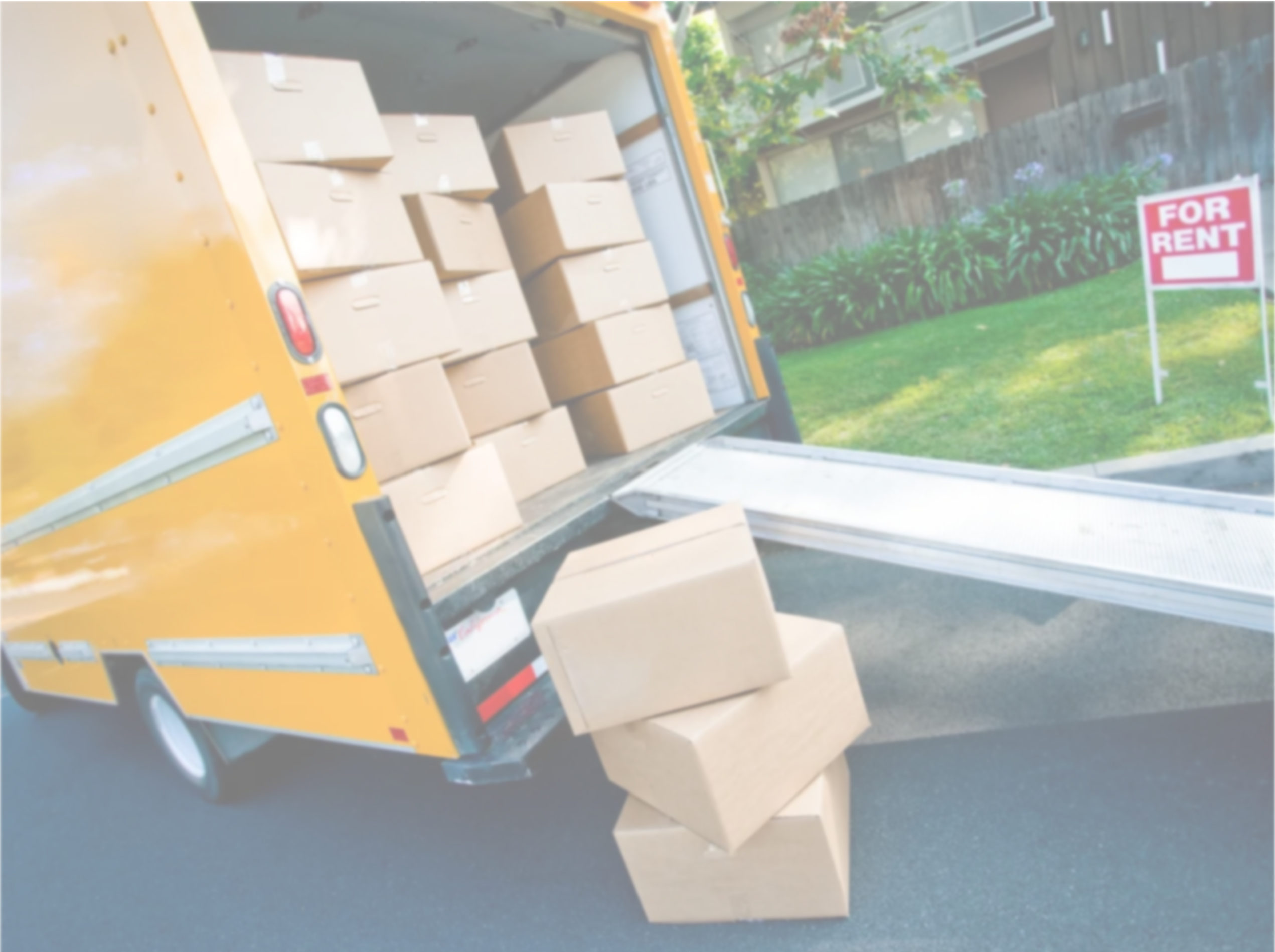 storage west auckland